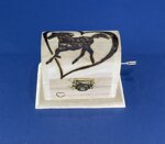 art-c230-d-mini-cofanetto-carillon-disegno-cavallo