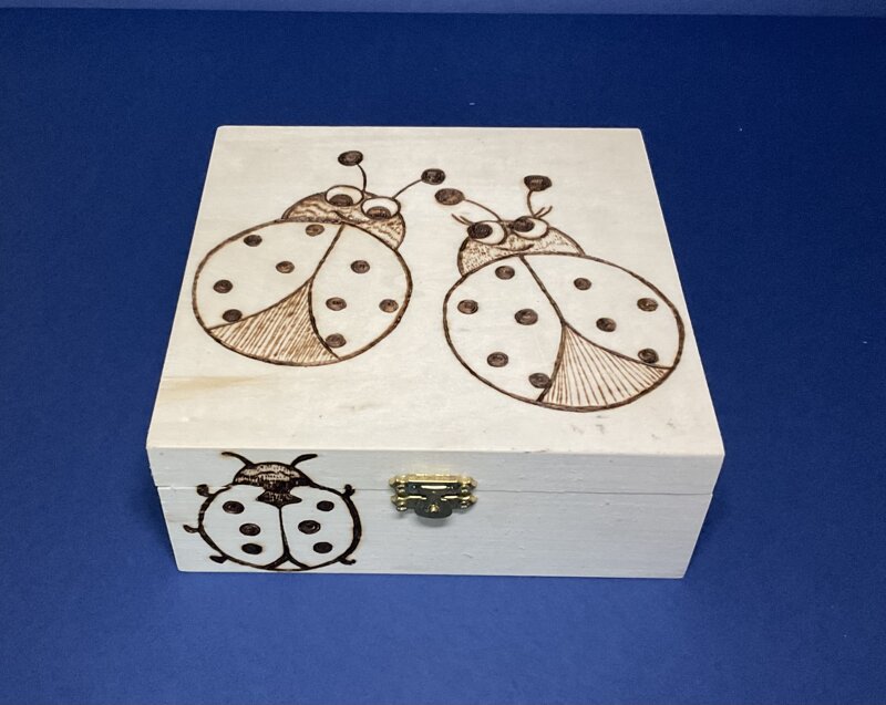 art-c107-h-cofanetto-disegno-coccinelle