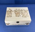 a26220-portagioie-con-ribalta-10-scomparti-disegno-gattini