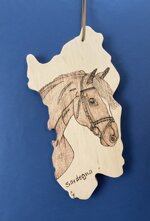 a26318-sardegna-disegno-cavallo-con-laccio