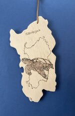 a26316-sardegna-disegno-tartaruga-con-laccio
