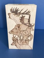 art-c157-y-cofanetto-disegno-5-animali-selvatici