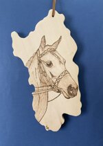 a26502-sardegna-disegno-cavallo