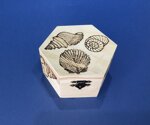 art-c200-f-cofanetto-esagonale-disegno-conchiglie