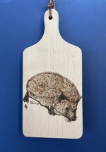 art-t014-e-tagliere-disegno-riccio