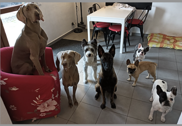 screenshot 2025-10-27 alle 11.09.44