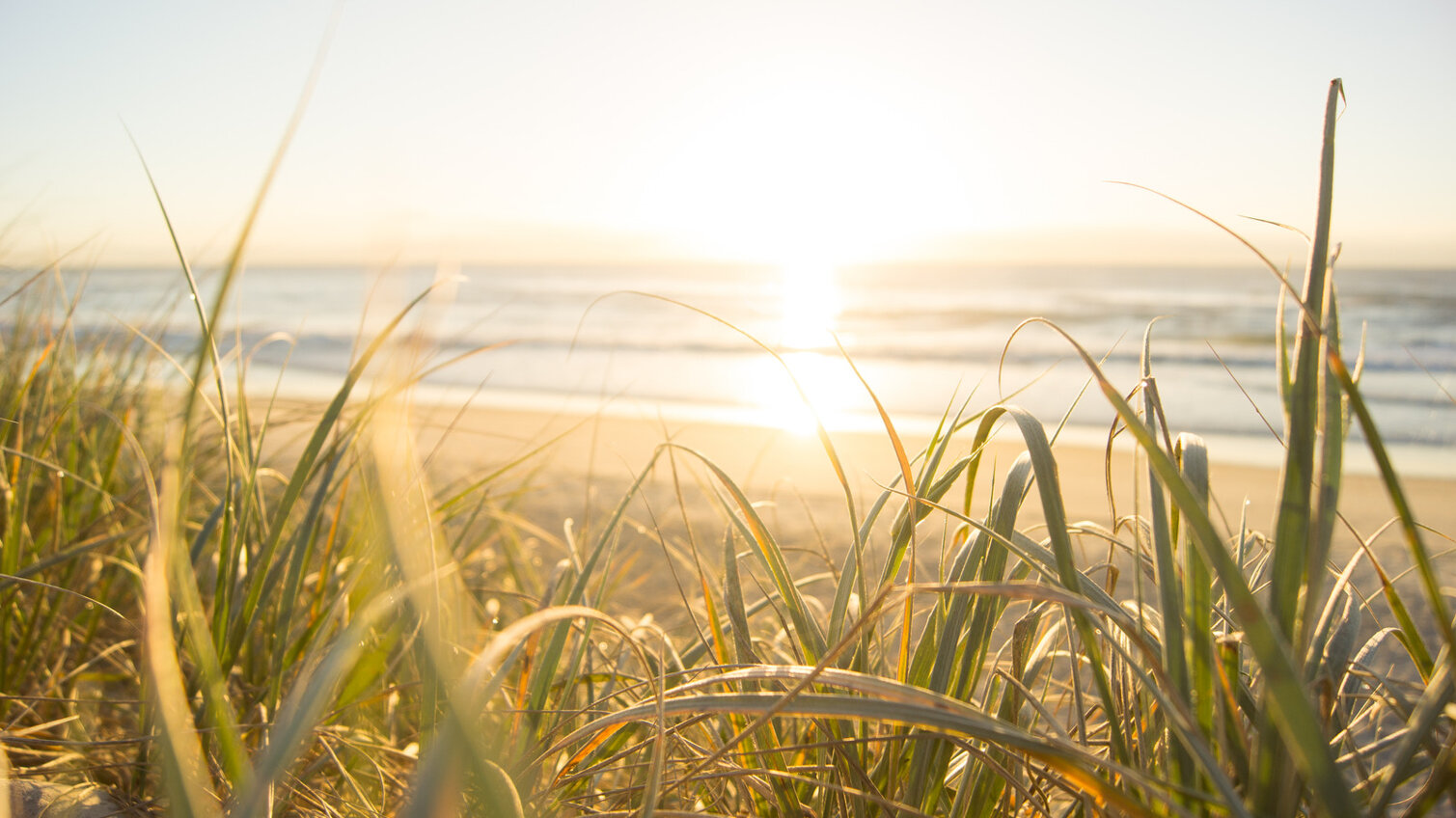 canva-sea-horizon-madgvqmwwj4.jpeg
