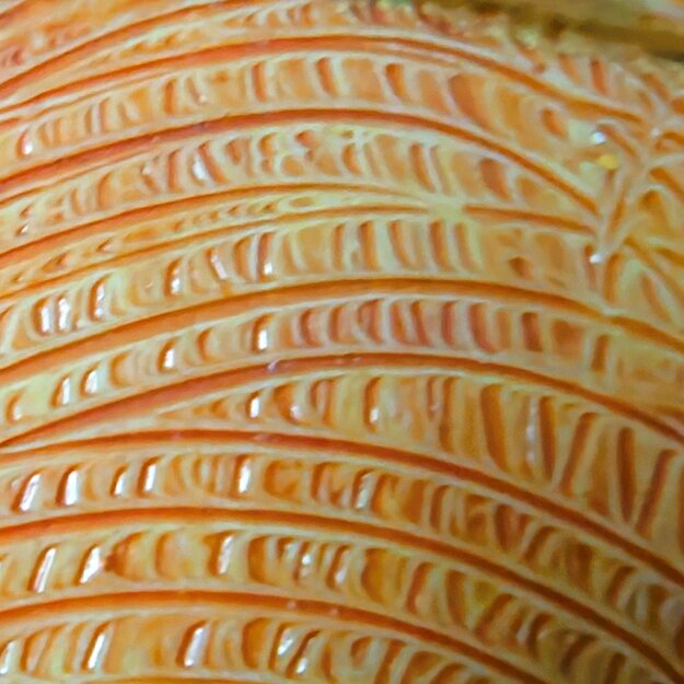 Particolari di quadri astratti dai colori solari , luminosi ed eterei. Pittura in rilievo. Particolari di quadri astratti dai colori solari , luminosi ed eterei. Pittura in rilievo.