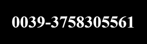 screenshot 2025-12-14 115053 screenshot 2025-12-14 115053