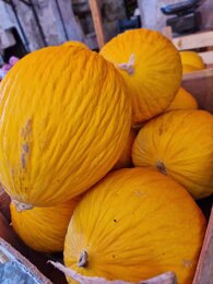 whatsapp image 2025-11-20 at 18.34.37 (7).jpeg