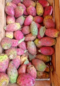 whatsapp image 2025-11-20 at 18.34.37 (6).jpeg