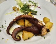 whatsapp image 2025-11-20 at 18.34.39.jpeg