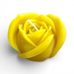 rosa-bocciolo-grande