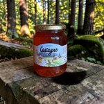 miele-italiano-di-castagno