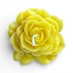 rosa-aperta-bassa