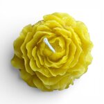 peonia-grande