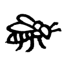 mielerie-aperte-api2
