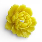 peonia