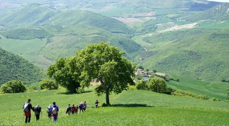 monti-dauni-4 monti-dauni-4