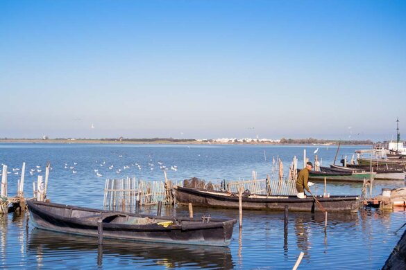 lesina-pescatori.jpeg lesina-pescatori.jpeg