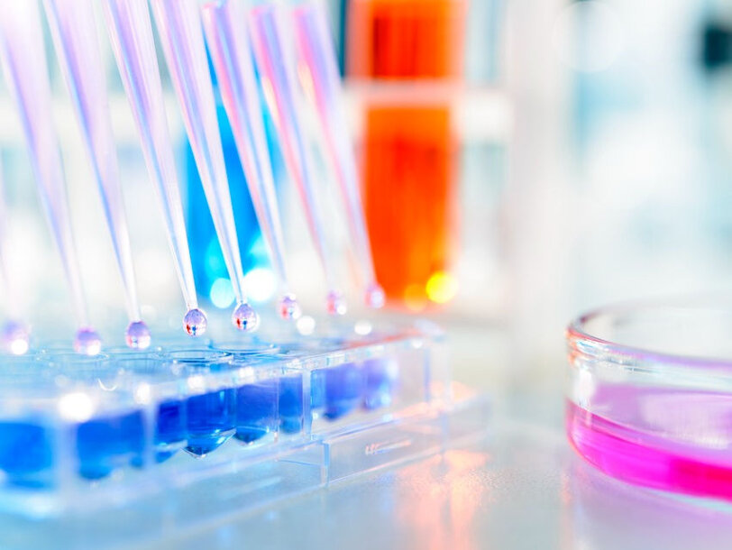 a6354b_cda829ad147d4788a5c9e4229c702b83~mv2.jpeg a6354b_cda829ad147d4788a5c9e4229c702b83~mv2.jpeg