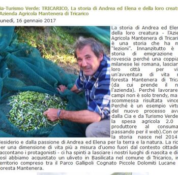 eyJpdCI6IkRpY29ubyBkaSBub2kgIn0= eyJpdCI6IkRpY29ubyBkaSBub2kgIn0=