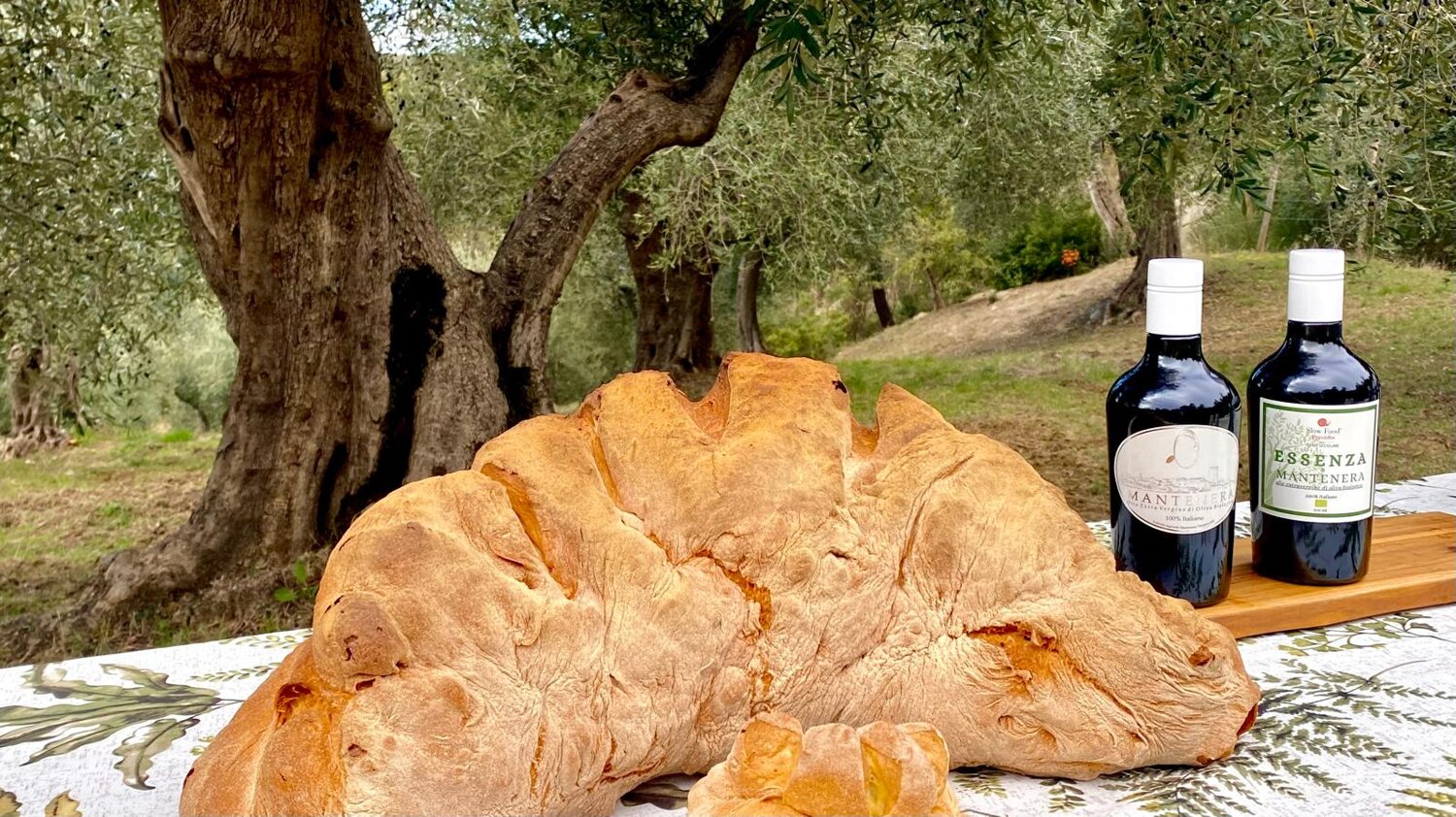 olio e pane di matera.jpeg olio e pane di matera.jpeg