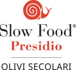 essence-of-mantenera-organic-extra-virgin-olive-oil-from-centuries-old-olive-trees