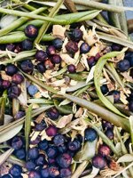 tisolivo-energy-tisana-di-foglie-di-olivo-bacche-di-ginepro-liquirizia