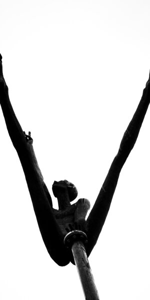 figuresvettanoequilibrio.jpeg