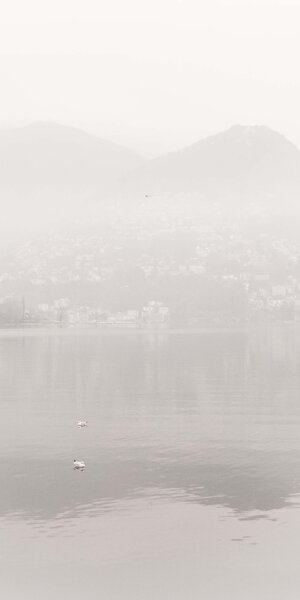 dsc_2564.jpeg