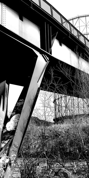 dsc_0880.jpeg
