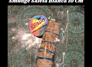 logo ok senza sfondo