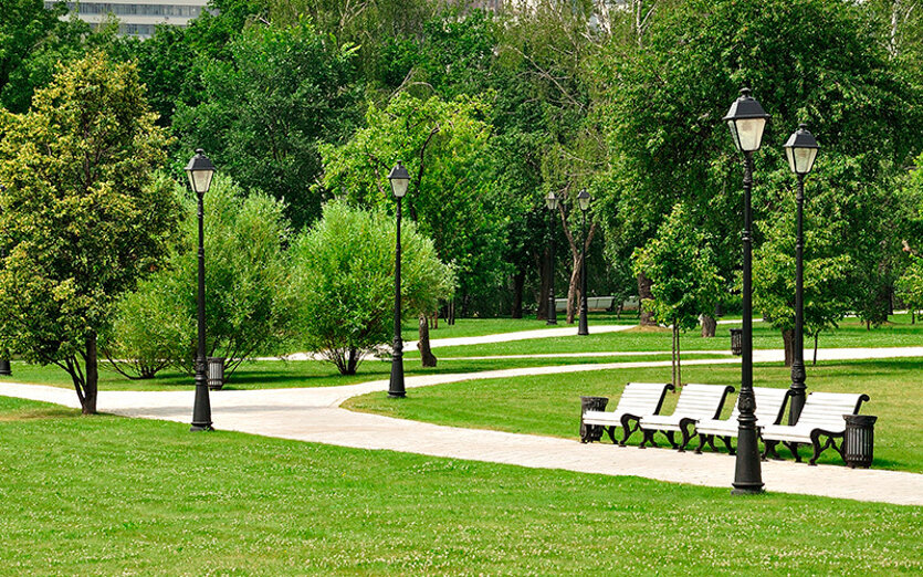 5-elementi-alla-base-della-progettazione-di-un-parco-o-giardino.jpeg
