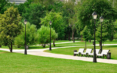 5-elementi-alla-base-della-progettazione-di-un-parco-o-giardino.jpeg