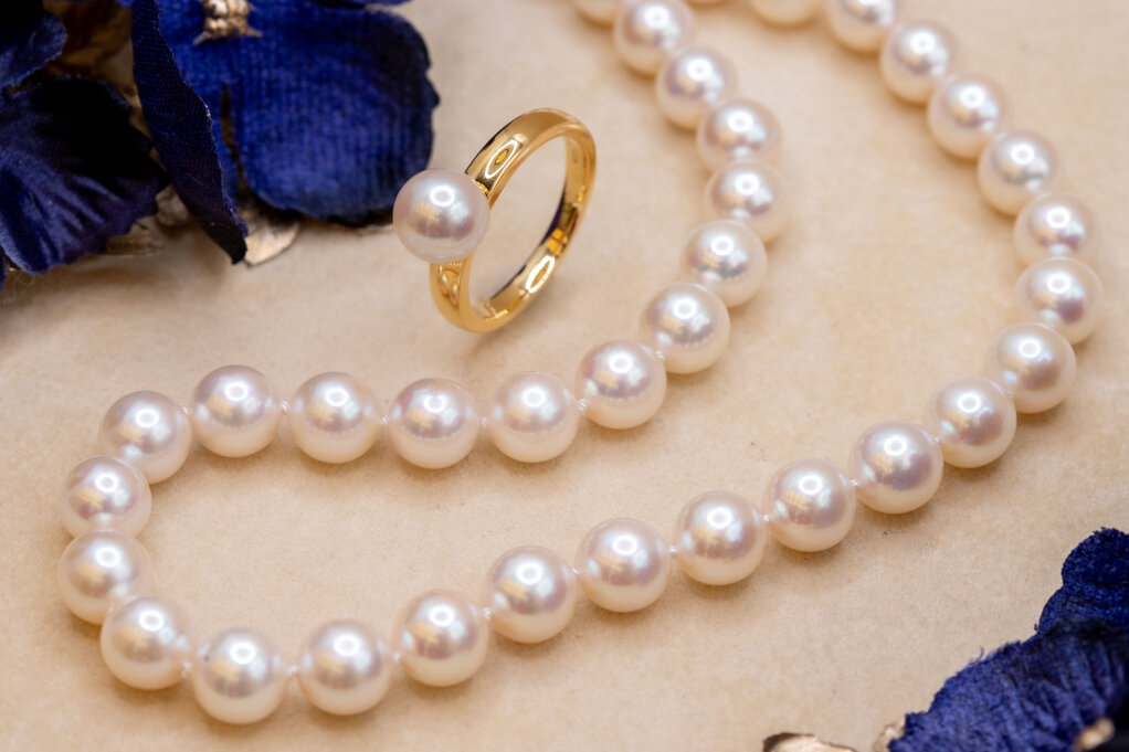 img_3308.jpeg img_3308.jpeg