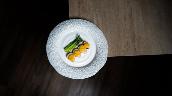 rana orizzontale.jpeg