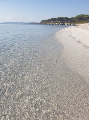 mep spiaggia 2025.jpeg mep spiaggia 2025.jpeg