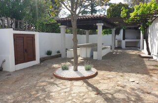 bbq%202%202024.jpeg bbq%202%202024.jpeg