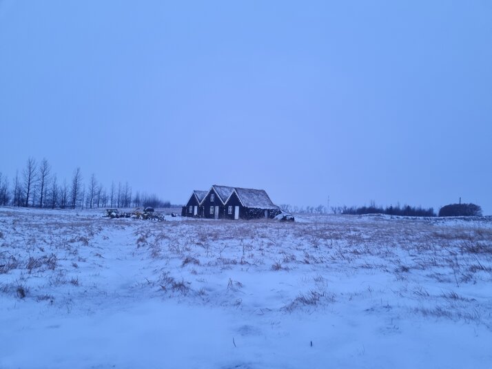 20241102_083325.jpeg