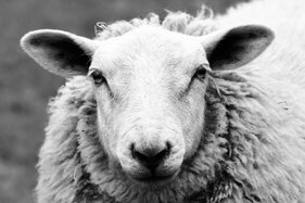 09e20467-953f-40c8-9643-b89fe986970b 09e20467-953f-40c8-9643-b89fe986970b