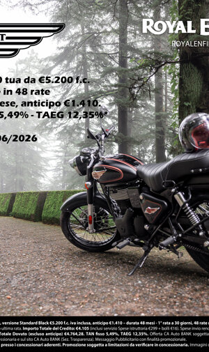 bear%20650_5,49�.jpeg bear%20650_5,49�.jpeg