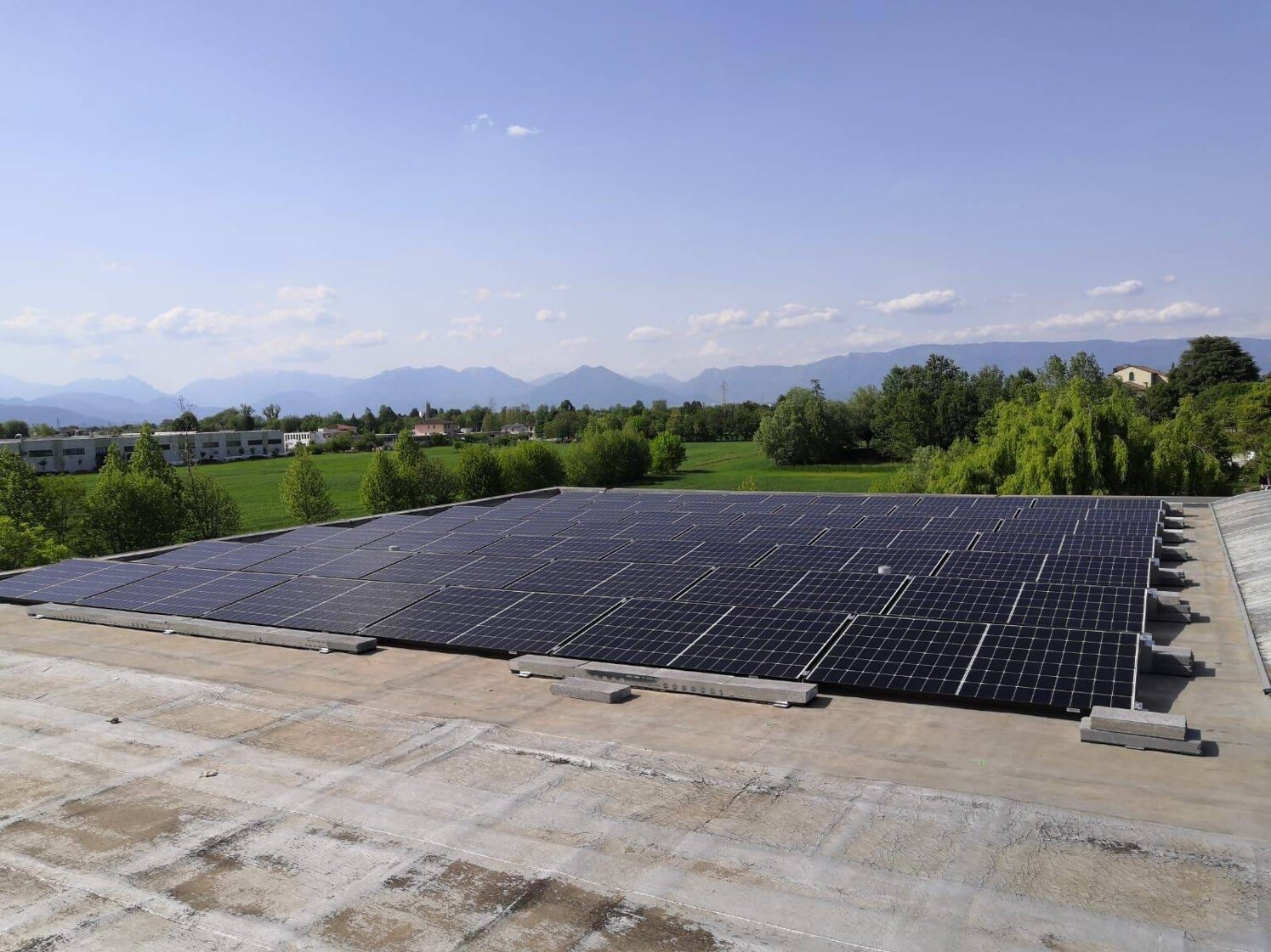 photo-2024-11-17-16-10-22 (1).jpeg