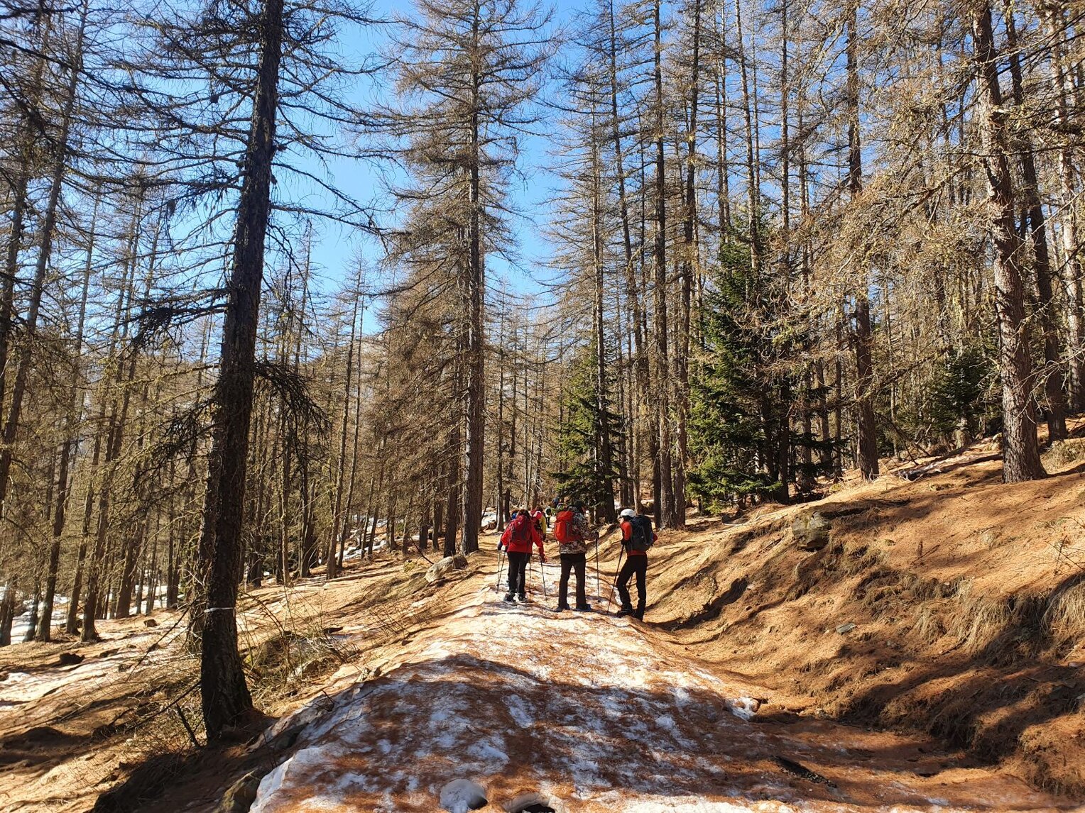 bcab570a-6419-4b79-8190-2bc6936a5121