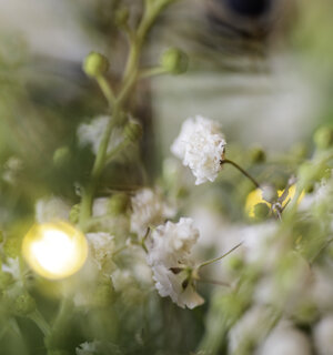 eyJpdCI6IiJ9 eyJpdCI6IiJ9