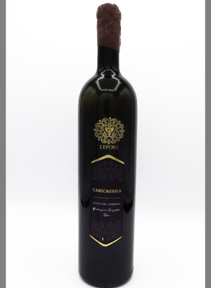 eyJpdCI6IiJ9 eyJpdCI6IiJ9