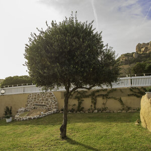 eyJpdCI6IiJ9 eyJpdCI6IiJ9