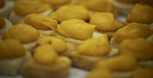 eyJpdCI6IiJ9 eyJpdCI6IiJ9