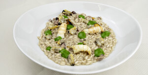 eyJpdCI6IiJ9 eyJpdCI6IiJ9