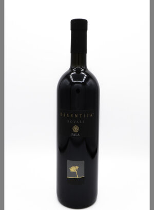 eyJpdCI6IiJ9 eyJpdCI6IiJ9